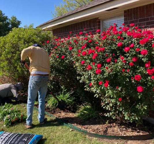 stuart lawn & tree service